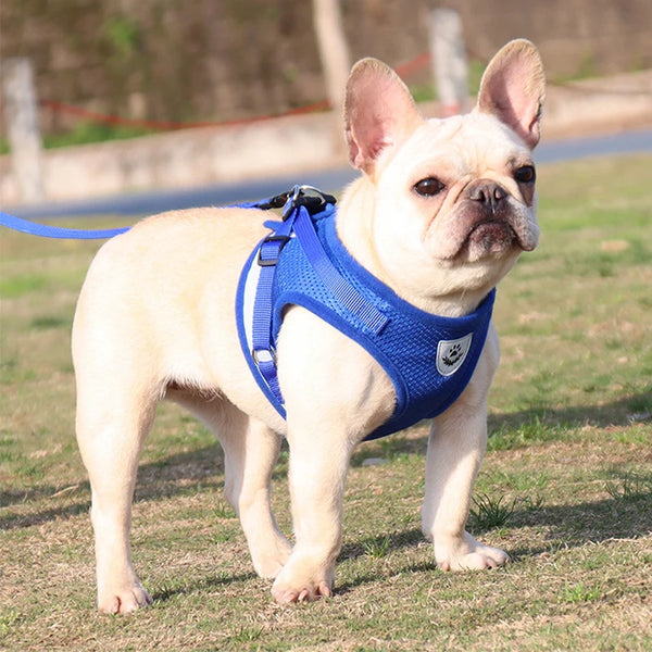 Pet Chest Strap Reflective Harness