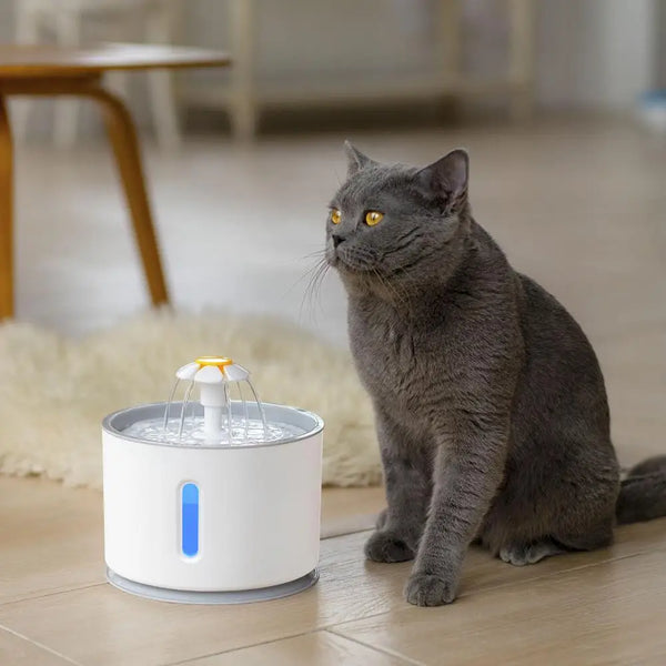 Automatic Pet Cat Water Fountain Feeder