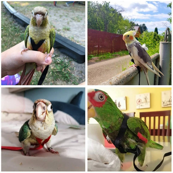 Outdoor Flying Adjustable Parrot Harness