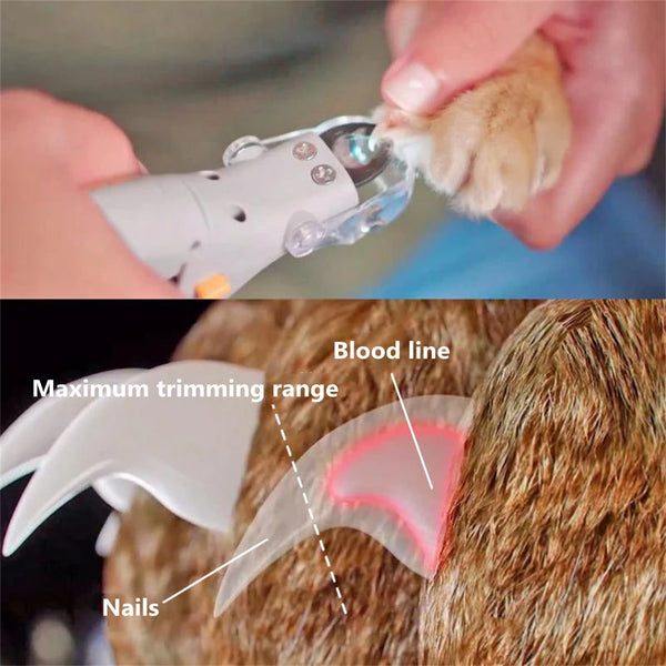 LED Pet Nail Clipper