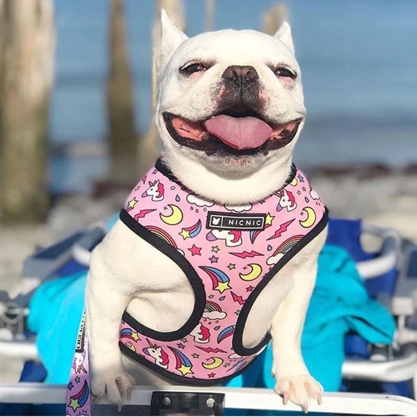 Pet Breathable Harness