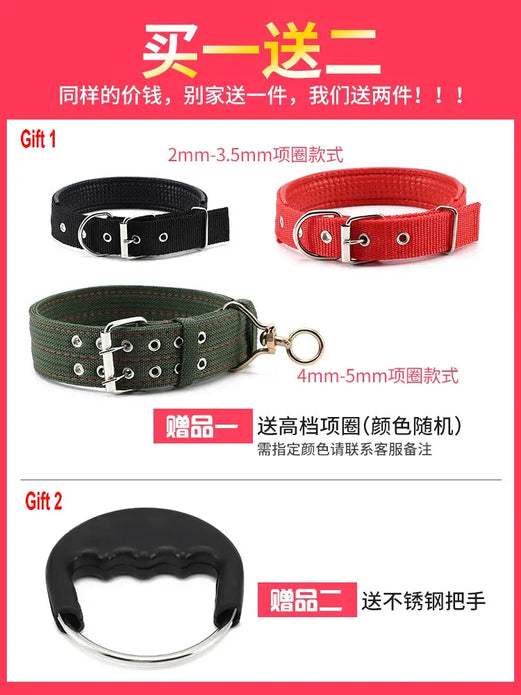 Pet Lead Leash with Collar Handle