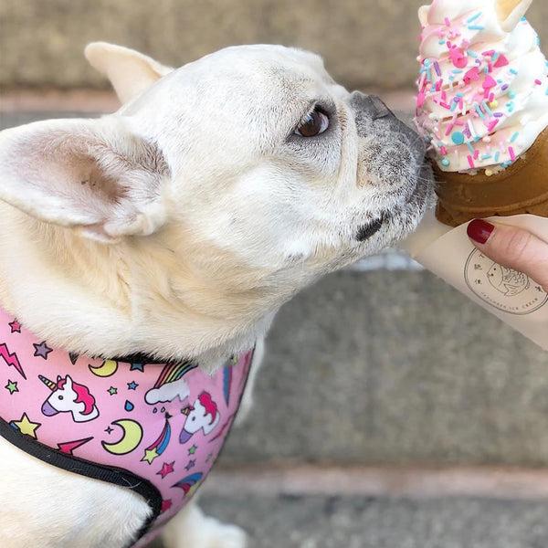 Pet Breathable Harness