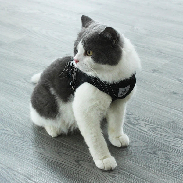 Pet Chest Strap Reflective Harness