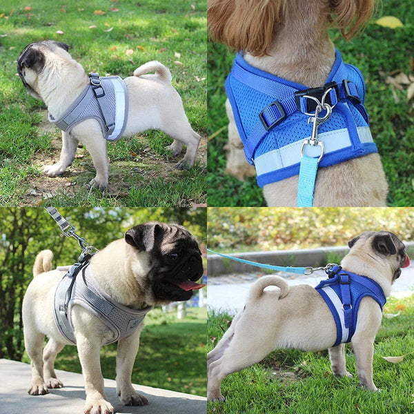 Pet Chest Strap Reflective Harness