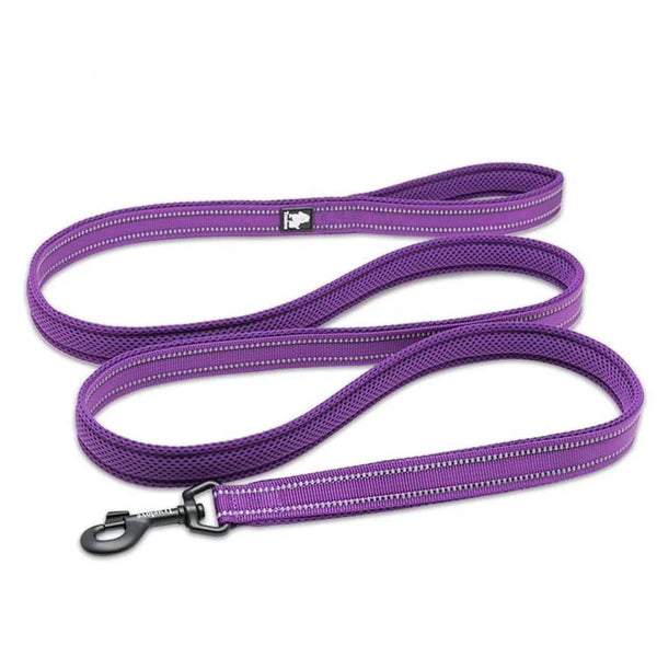 Truelove 200Cm Nylon Dog Lead Leash