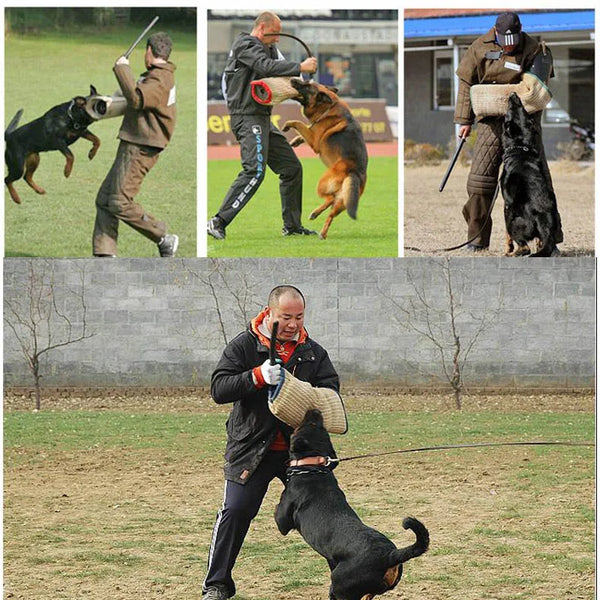 Pet Soft Bendable Trainings Sticks