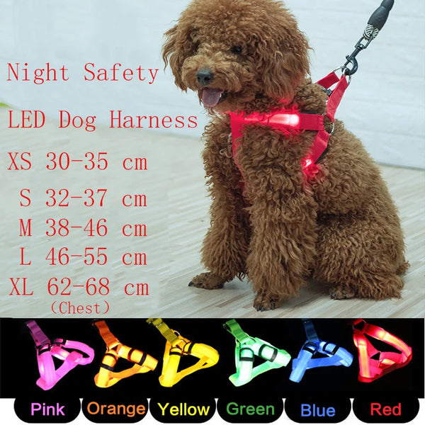 Nylon Pet Safety Harness