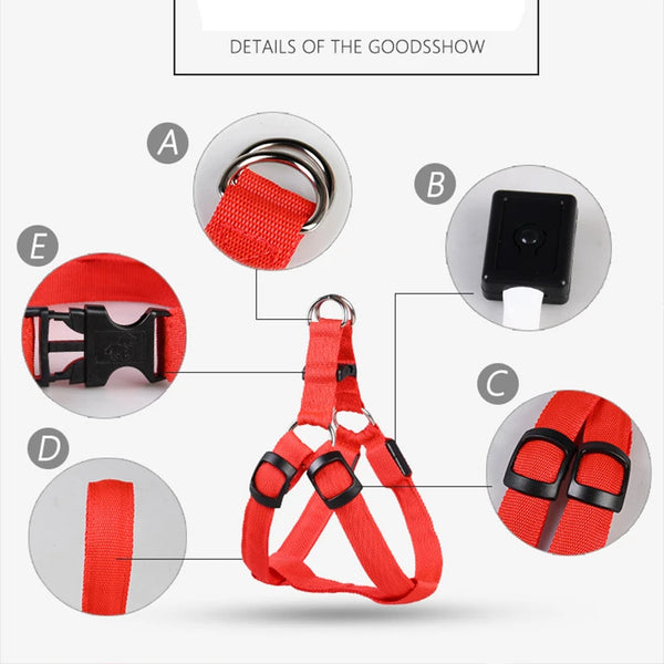 Nylon Pet Safety Harness