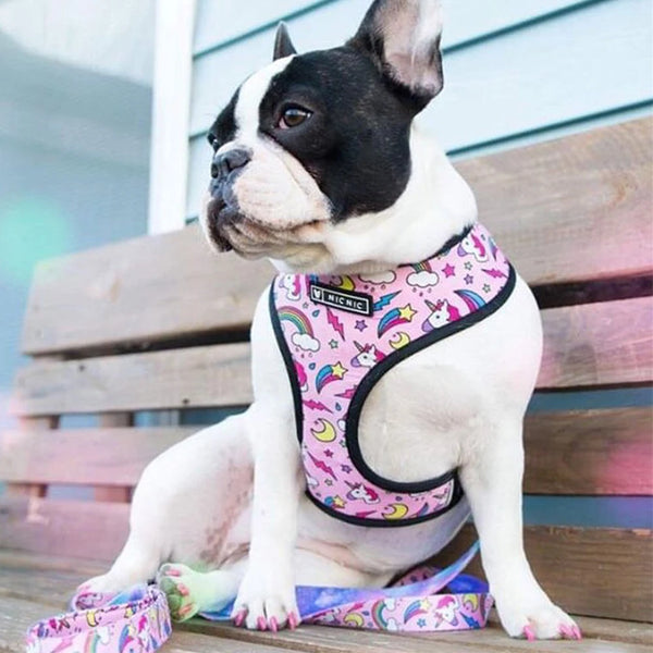 Pet Breathable Harness