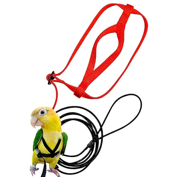 Outdoor Flying Adjustable Parrot Harness