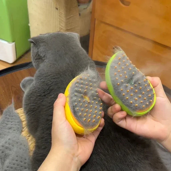 Cat And Dog Steam Brush Removes Hair