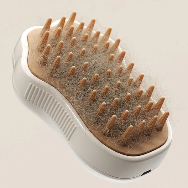 3 in 1 Steamy Pet Electric Spray Hair Brush