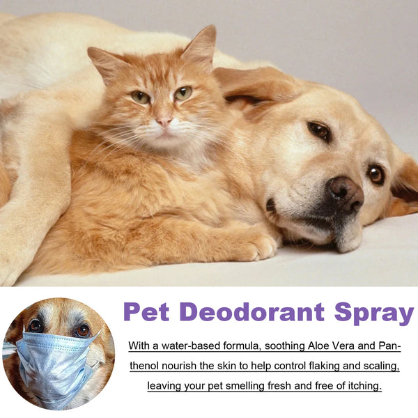 Pet Anti Itch Spray & Scent