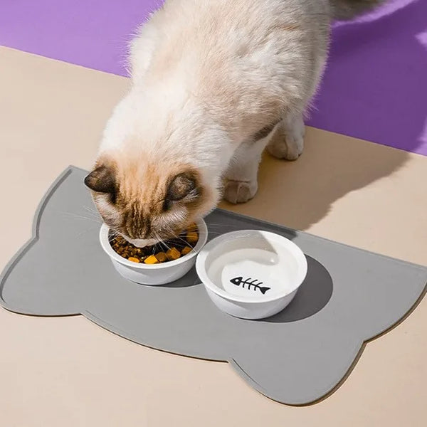 Silicone Pet Feeding Bowl