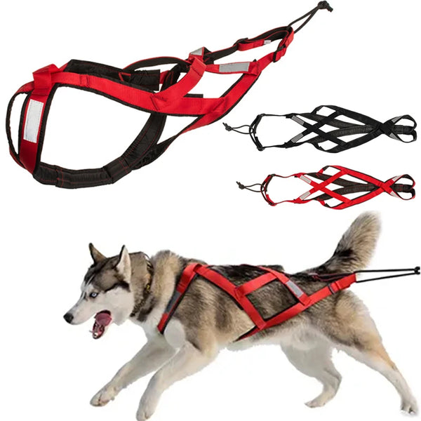 Pet Adjustable Reflective Harness