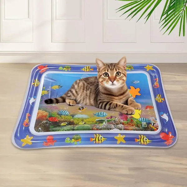 Pet  Water Sensory Mat