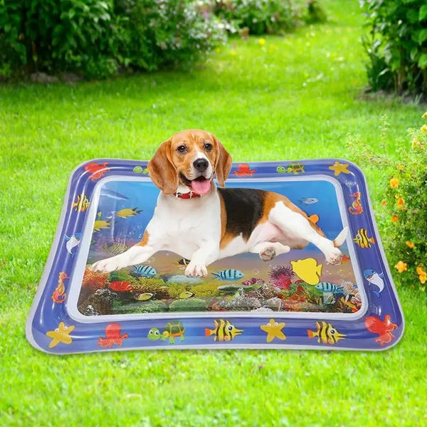 Pet  Water Sensory Mat