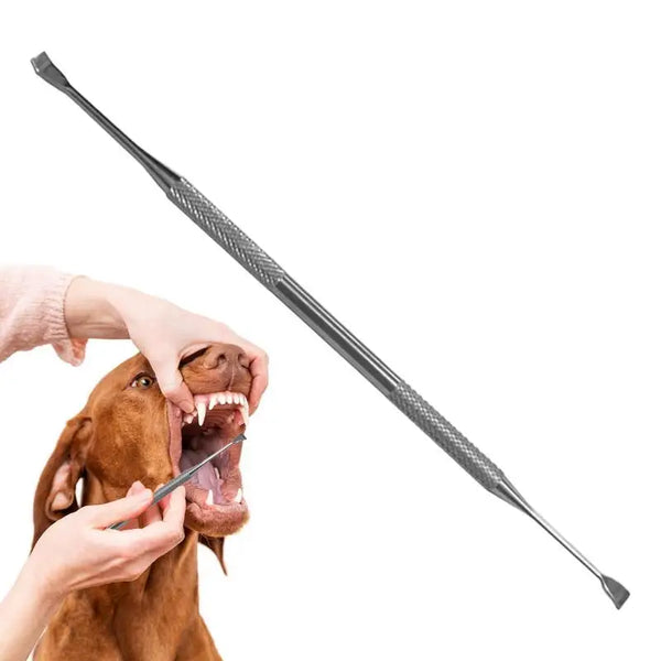 Pets Teeth Cleaner Stainless Steel Tool's