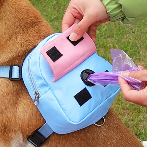 Pet Harness and Bag