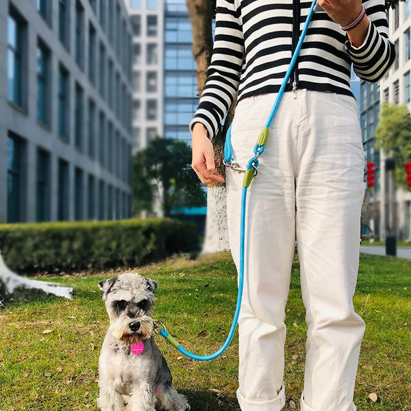 Reflective Nylon Pet Leashes