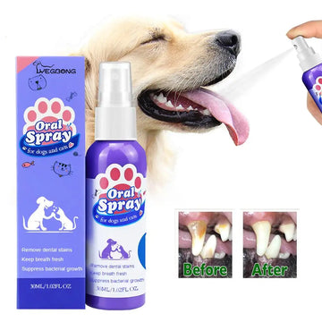 Pet Teeth Cleaner