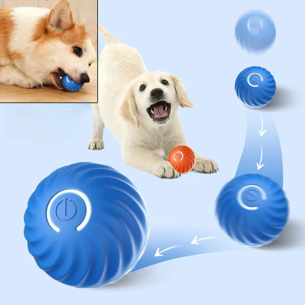 Dog  Automatic Moving Bouncing Rolling Ball