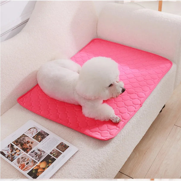 Absorbent Diaper Washable Pet Bed