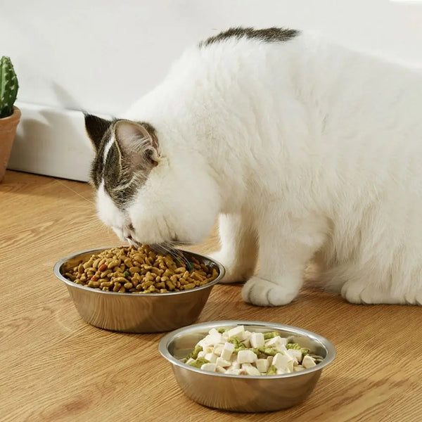 Stainless Steel Pet Feeding Bowl