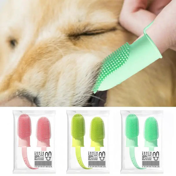 Pet Teoth Cleaning Tools