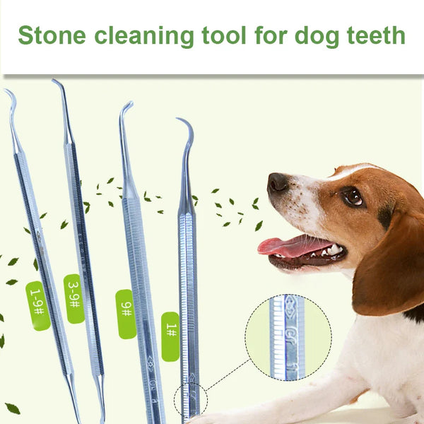 1/3PCS Stainless Steel Pet Tooth Oral Hygiene