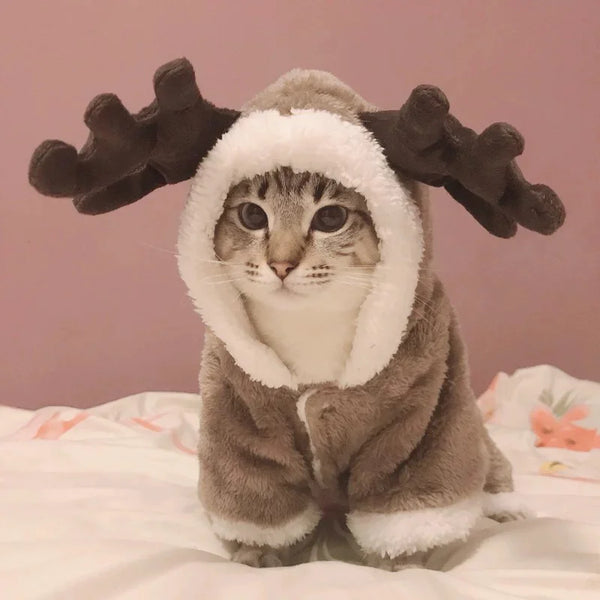 Winter Cat Warm Jumpsuits Costumes