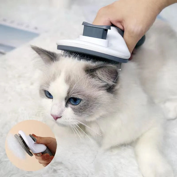 Pet Hair Remover Accessories