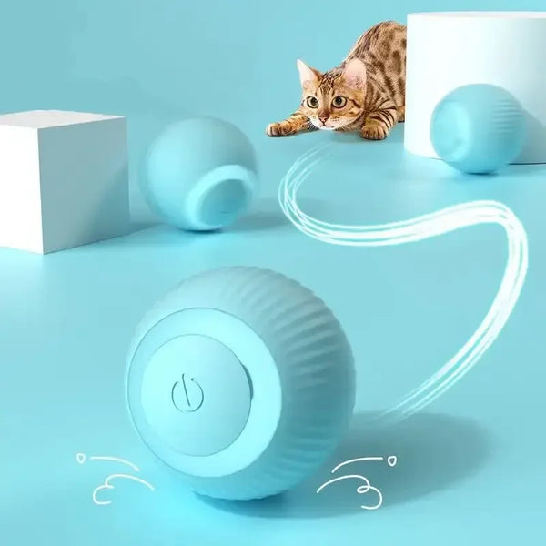 Smart Pet Rechargeable Rolling Ball