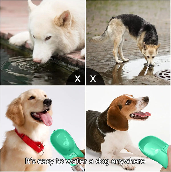 Pet Leakproof Walking Drinking Bottle