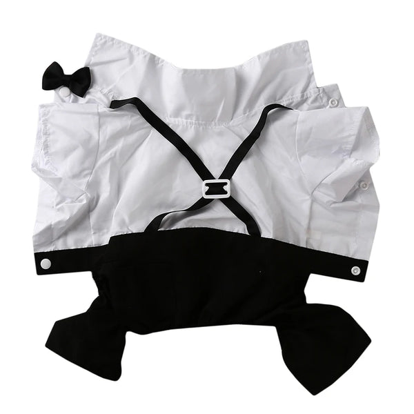 Prince Tuxedo Suit Pet Wedding Dress