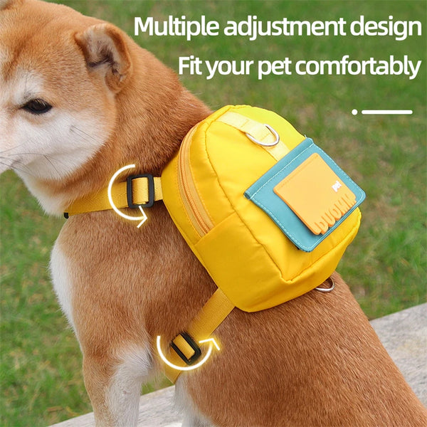 Pet Harness and Bag