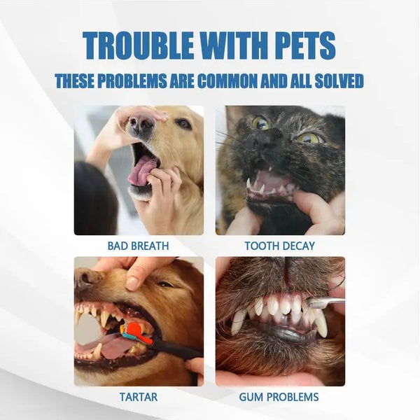 Pet Oral Tartar Remover Spray