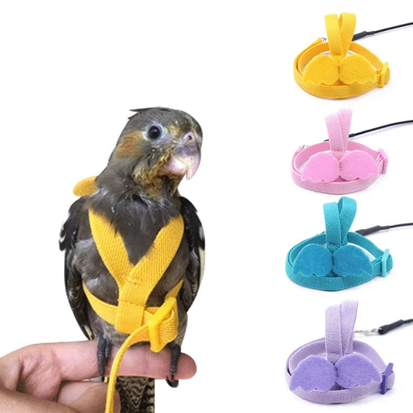 Outdoor Parrot Flying Harness