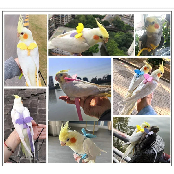 Outdoor Parrot Flying Harness