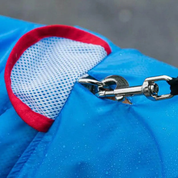 Inclusive Waterproof Weather Pet Rain Coat