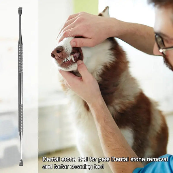 Pets Teeth Cleaner Stainless Steel Tool's