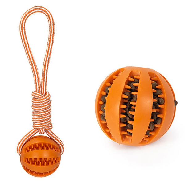 Pet Treat Balls with Rope