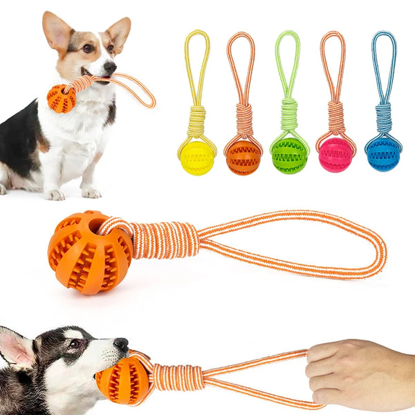 Pet Treat Balls with Rope