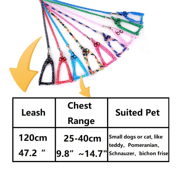 Pet's  Leash And Harness