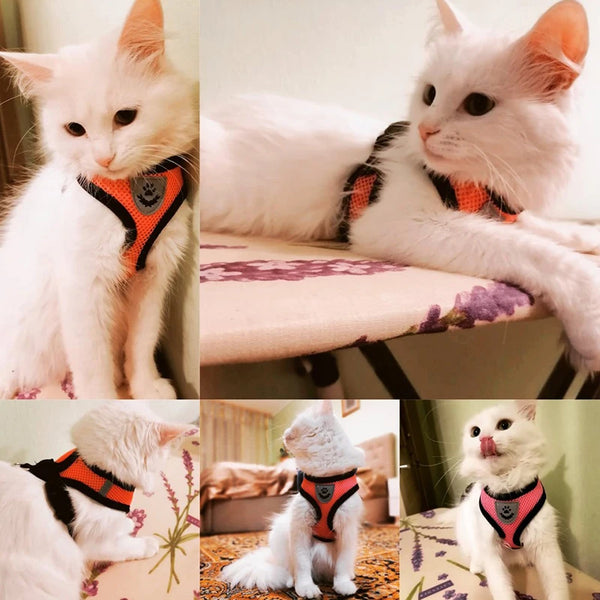 Pets Harness Adjustable Vest