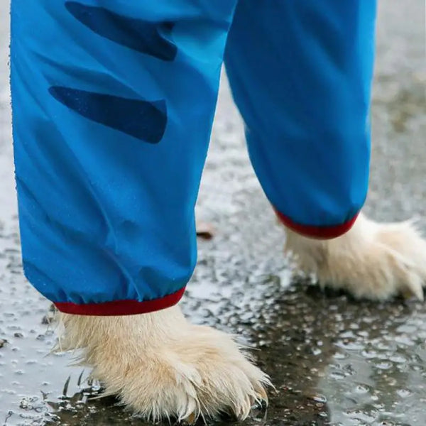 Inclusive Waterproof Weather Pet Rain Coat