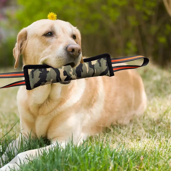 Soft Dog Training Stick