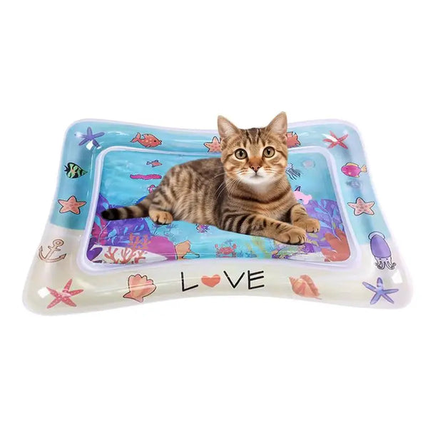 Pet  Water Sensory Mat