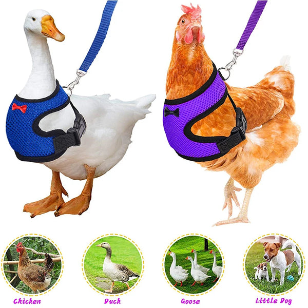 Adjustable Chicken Harness Leash